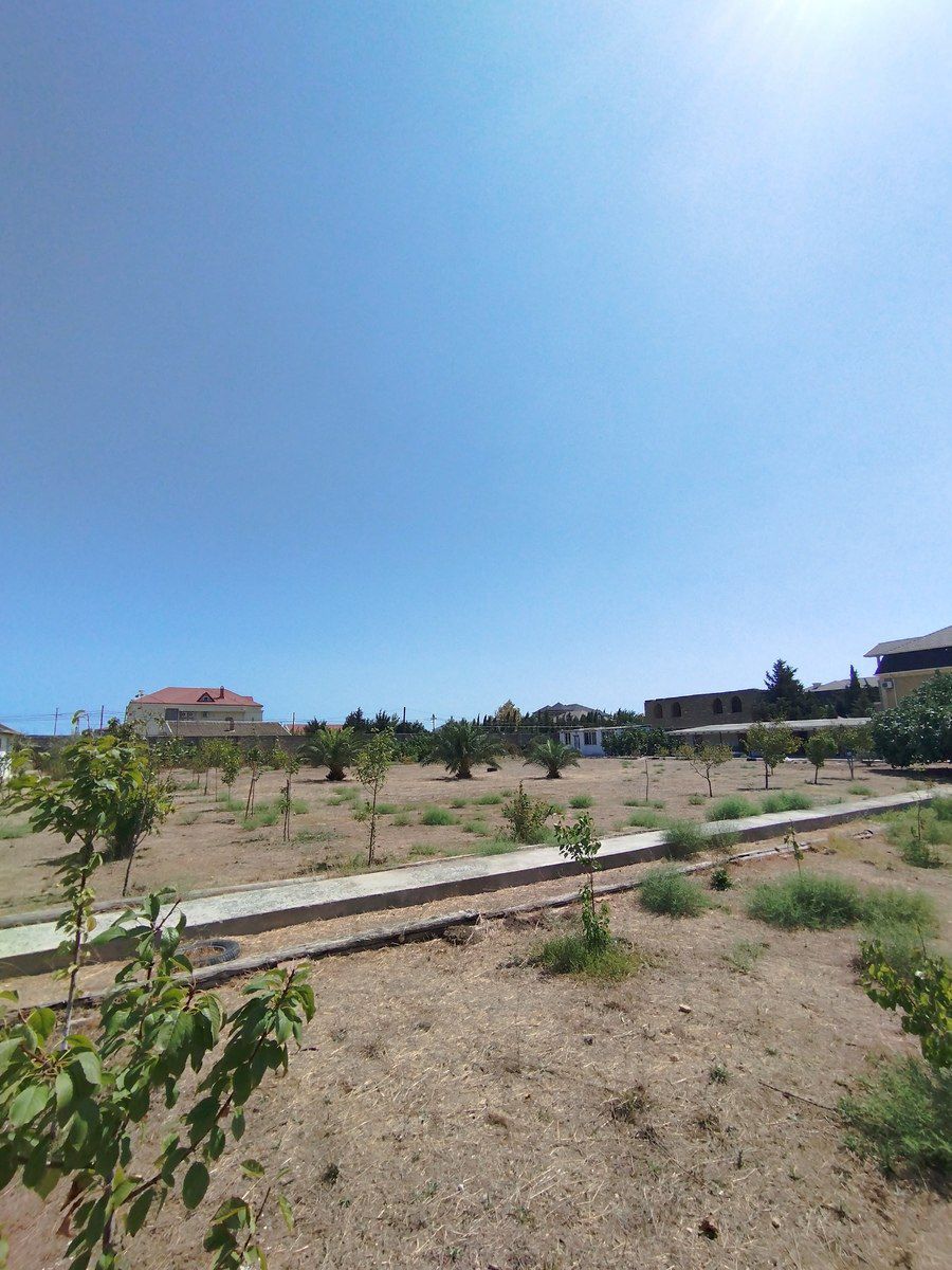 Satılır torpaq 45 sot — Torpaq, Bakı (7)
