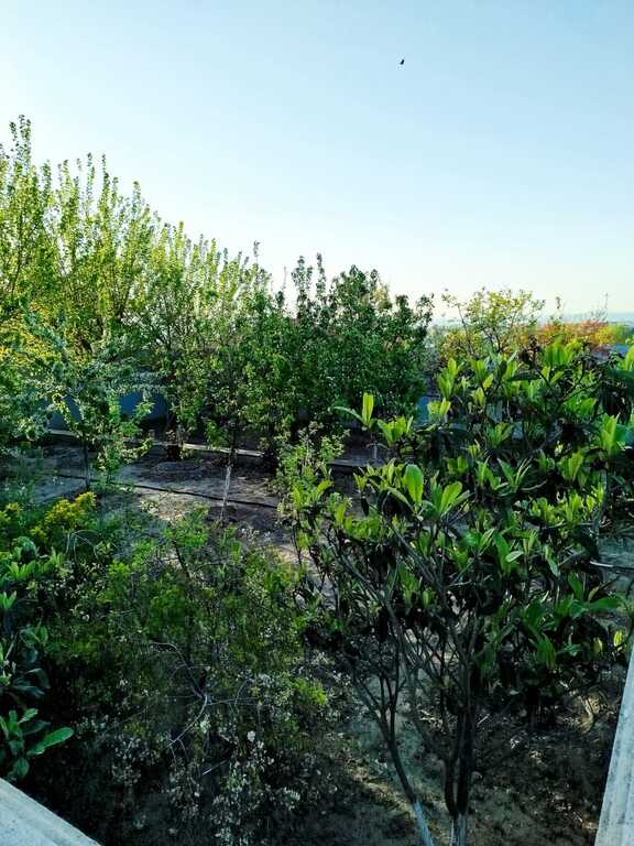 Satılır 6 otaqlı həyət evi/bağ evi 120 m² — Ev, villa, Bakı (2)