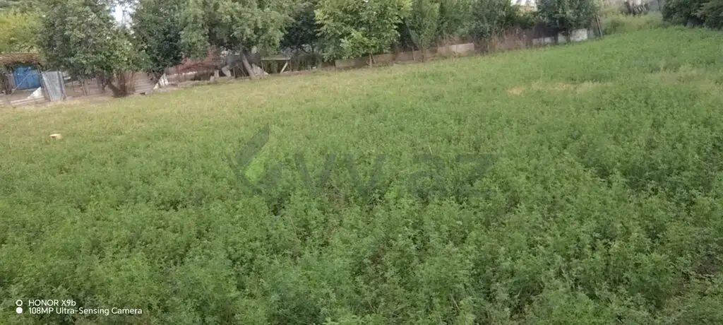 10 sot Torpaq Satılır, Saatlı — Torpaq, Saatlı (7)