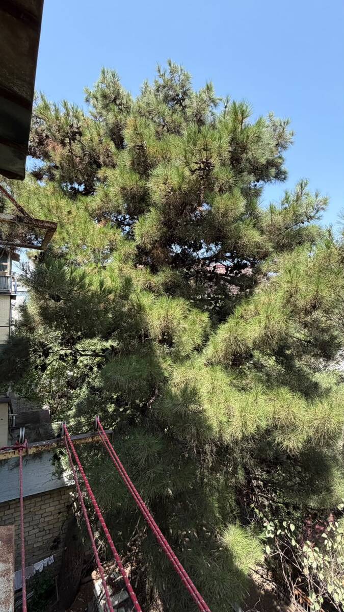Satılır 2 otaqlı köhnə tikili 50 m² — Mənzil, Bakı (2)