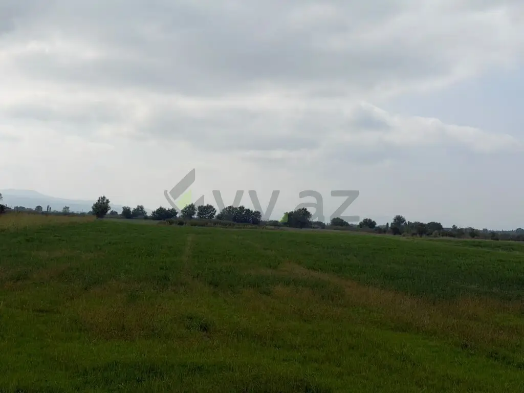 114 sot Torpaq Satılır, Xaçmaz — Torpaq, Xaçmaz (11)