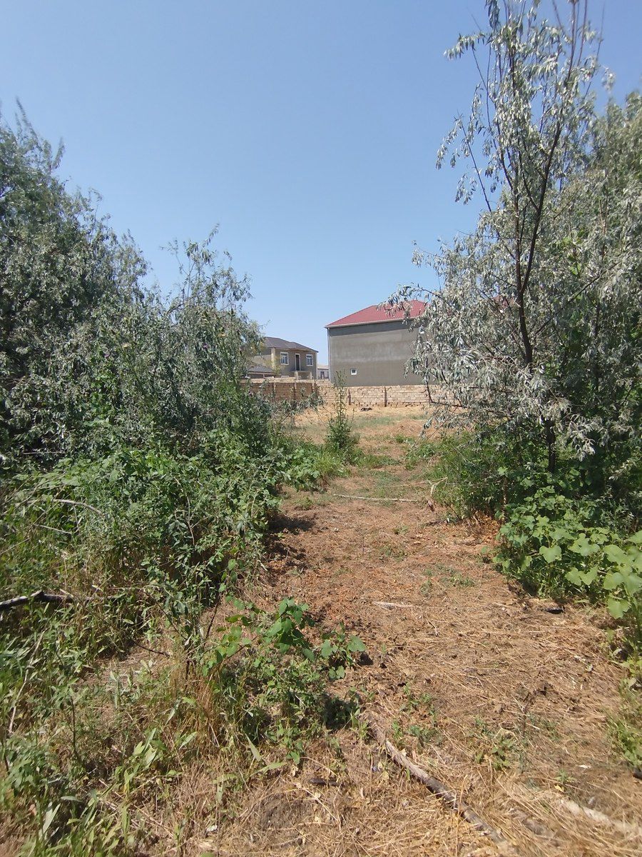 Satılır torpaq 20 sot — Torpaq, Bakı (9)