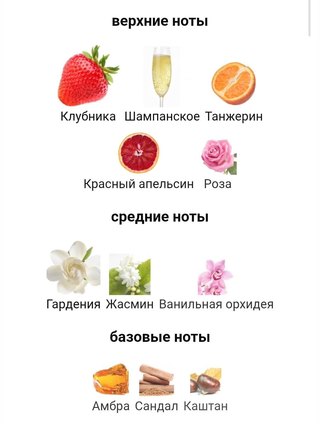 Haya parfum — Mallar, Bakı (2)