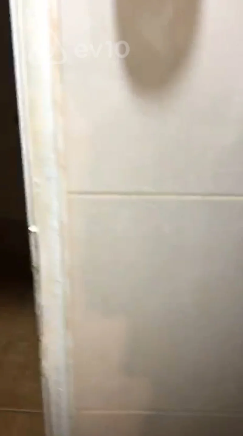3 otaqlı həyət evi, 76 m², Bayıl — kirayə — Ev, villa, Bakı (12)
