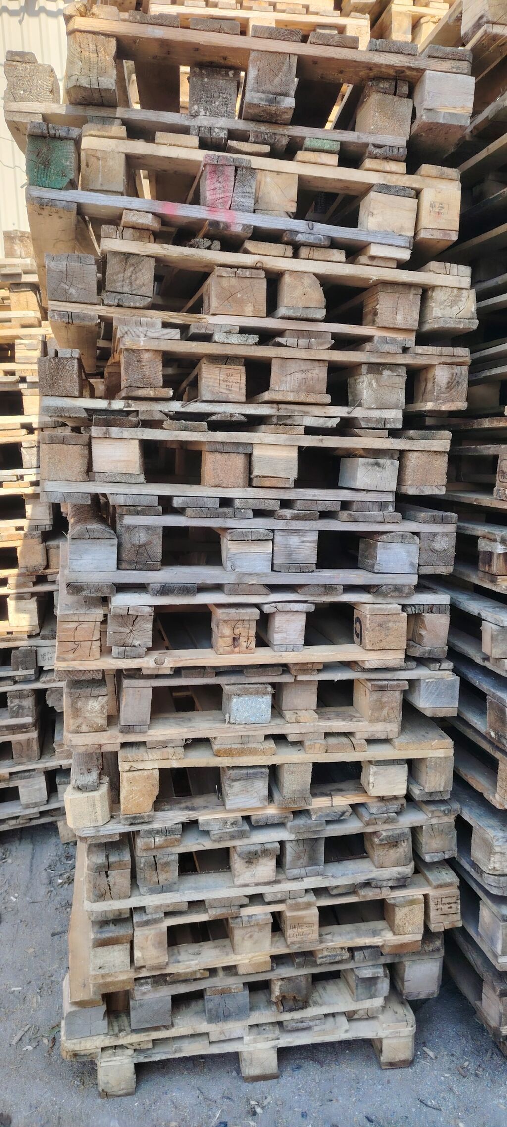 Pallet, 800 х 1200 sm, Ödənişli çatdırılma — Ağac məmulatı, Bakı (6)