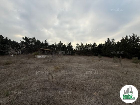 Satılır 24 sot torpaq Şüvəlan — Torpaq (11)