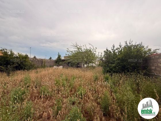 Satılır 7 sot torpaq Buzovna — Torpaq (4)