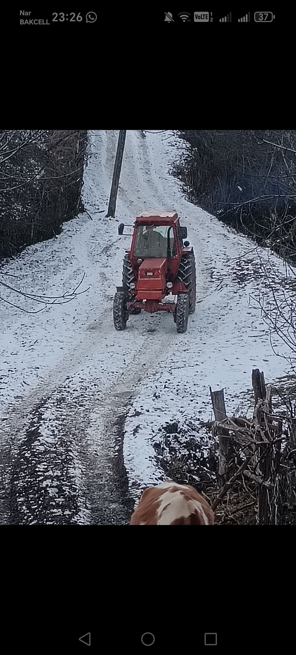 LTZ55 (Belarus) tipli təkərli kənd təsərrüfatı traktoru - Rəng — Traktorlar, Qusar (5)