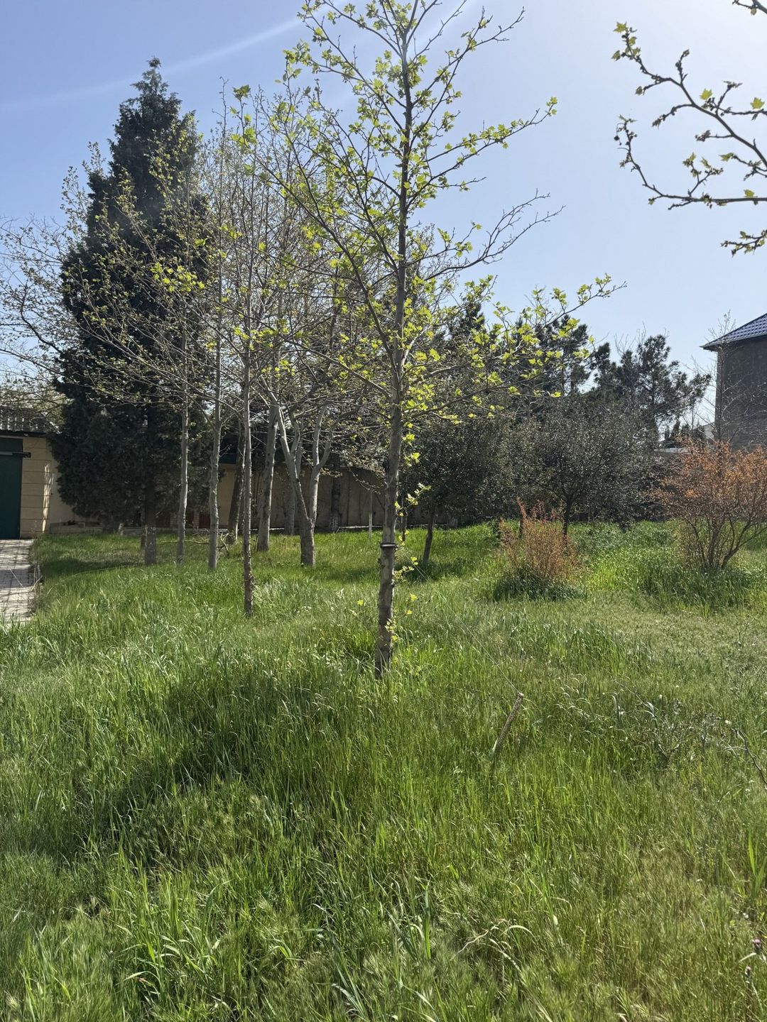 Satılır torpaq 19 sot — Torpaq, Bakı (5)