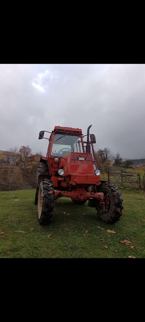 LTZ55 (Belarus) tipli təkərli kənd təsərrüfatı traktoru - Rəng — Qusar