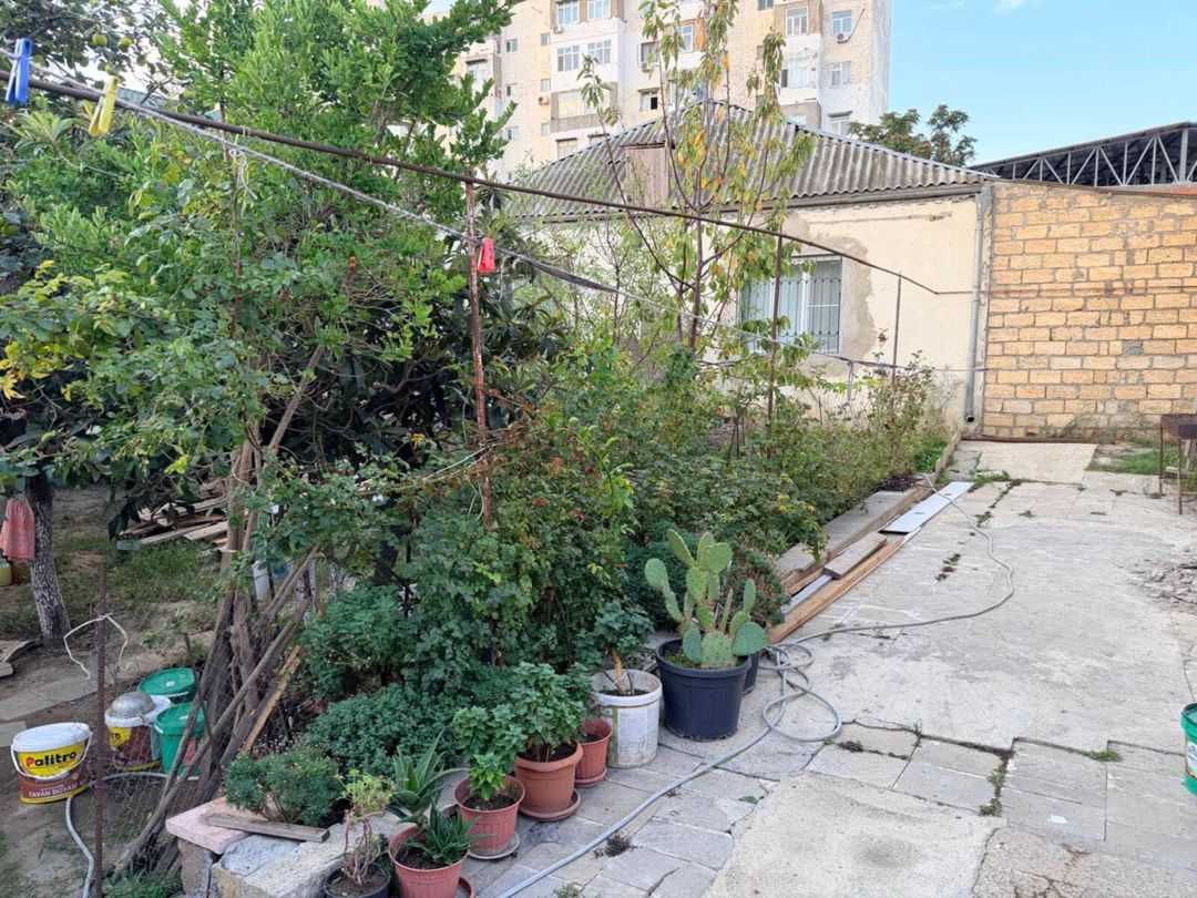 Satılır torpaq 5.3 sot — Torpaq, Bakı (9)