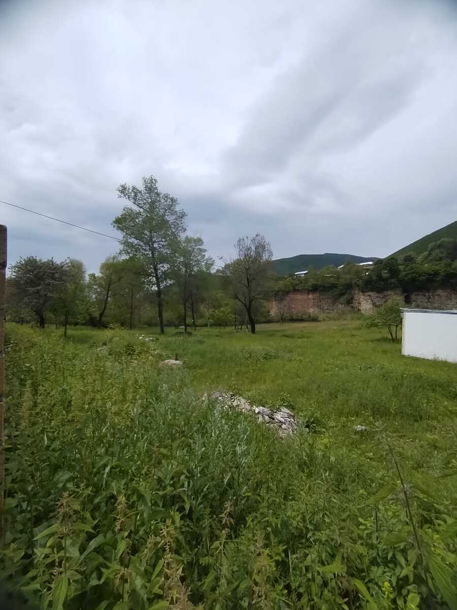 Satılır torpaq 100 sot — Torpaq, Şəki (6)