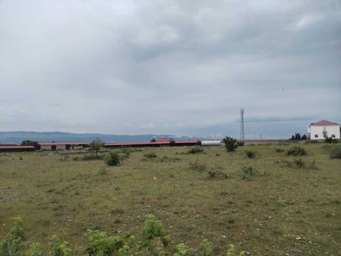 İcarəyə verilir torpaq 50 sot — Şəki