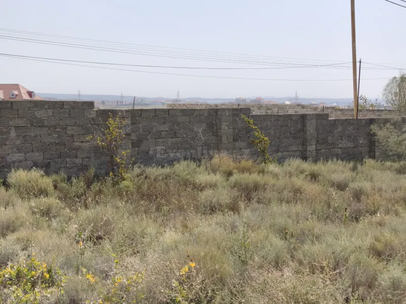 Satılır Torpaq 3 sot Bakı, Abşeron r., Saray — Torpaq, Bakı (2)