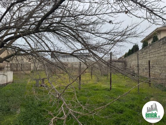 Satılır 25 sot torpaq Mərdəkan — Torpaq (3)