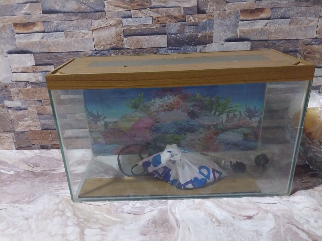 Dördbucaq akvarium, Boş, 10 l, Ünvandan götürmə — Akvariumlar və balıqlar, Bakı (2)