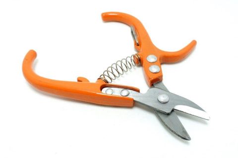 Bağban qayçısı Tesour De Uva SHL-2046, polad, çiçəklər üçün, solaxaylar üçün uyğundur, işləmə diametri 15 mm - SHL-2046 — Bakı