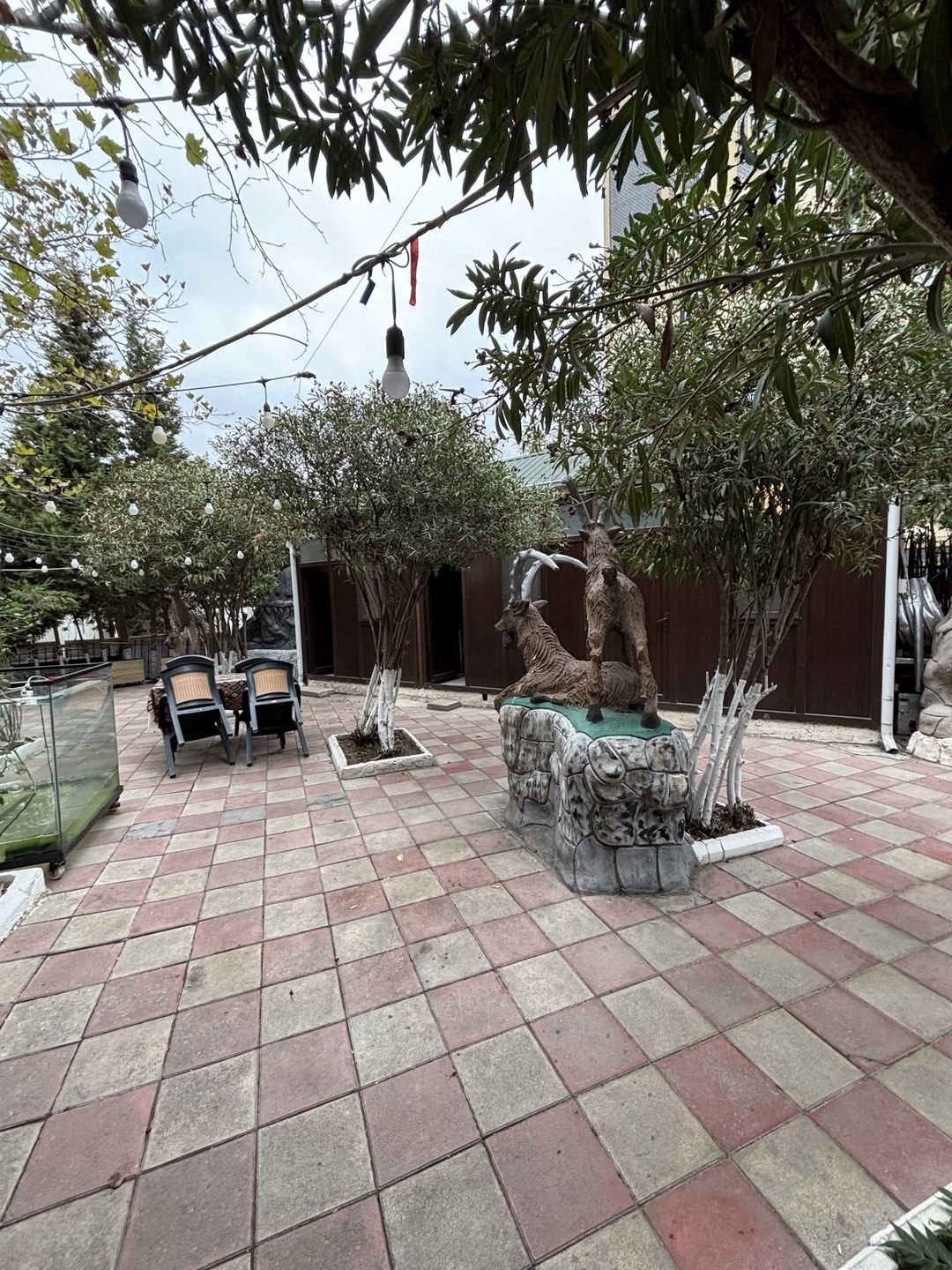 Satılır obyekt 400 m² — Əmlak, Bakı (4)