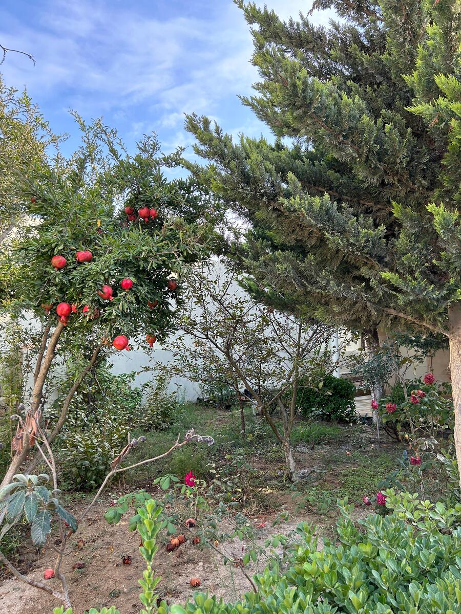 Satılır 5 otaqlı həyət evi/bağ evi 100 m² — Ev, villa, Bakı (11)