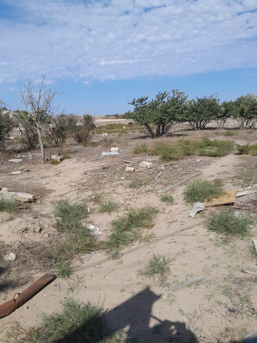 Satılır torpaq 6 sot — Torpaq, Bakı (5)