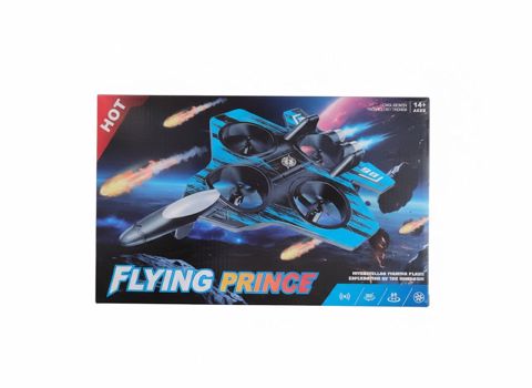 Radio ilə idarə olunan təyyarə Flying Prince SR12 — Bakı