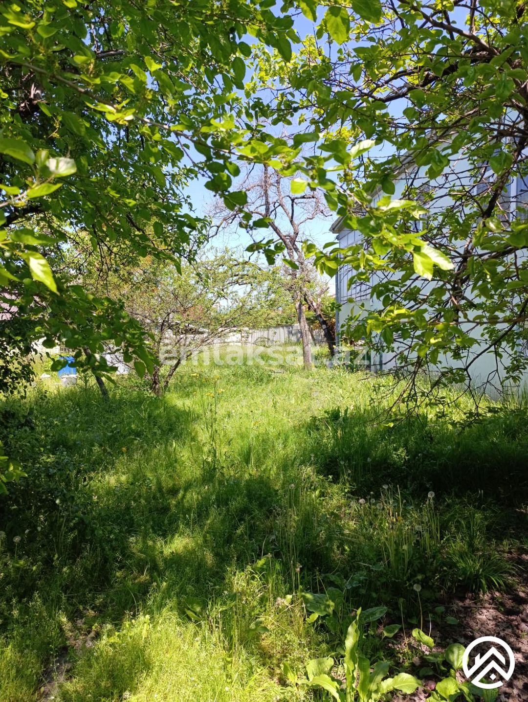 Satılır 4 otaq həyət evi / bağ evi 100 m², Zaqatala — Ev, villa, Zaqatala (11)