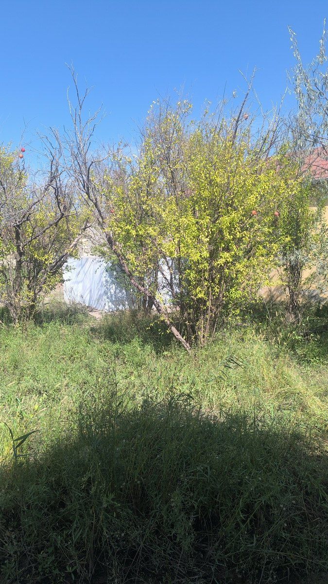 Satılır 1 otaqlı həyət evi/bağ evi 40 m² — Ev, villa, Bakı (8)