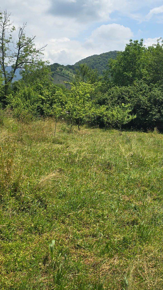 Satılır torpaq 10 sot — Torpaq, Qəbələ (3)