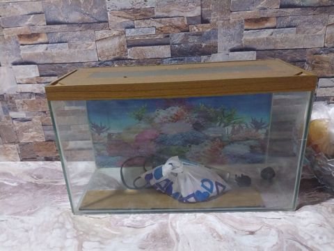 Dördbucaq akvarium, Boş, 10 l, Ünvandan götürmə — Bakı