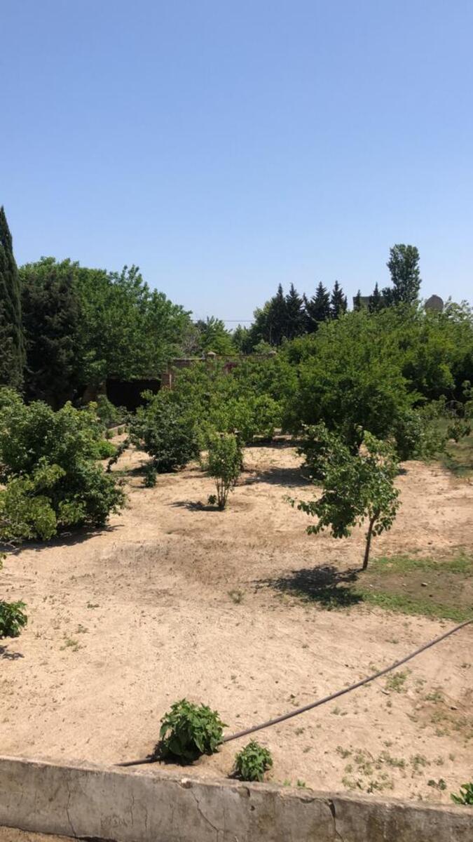 Satılır 5 otaqlı həyət evi/bağ evi 220 m² — Ev, villa, Bakı (4)