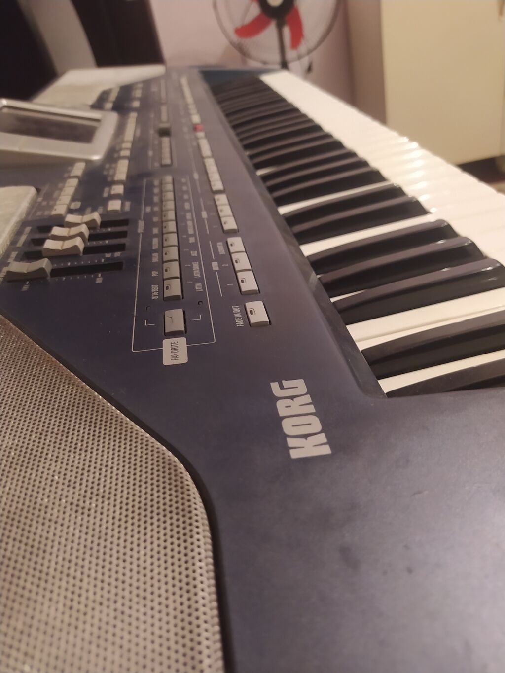 Korg PA800 satlır.led ekran,256 ram,2 ci versiya. - 61 klaviş — Pianino və digər klaviş alətləri, Oğuz (3)
