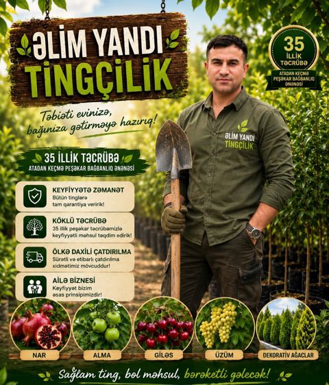 Saqi Tingçilik — Tərtər