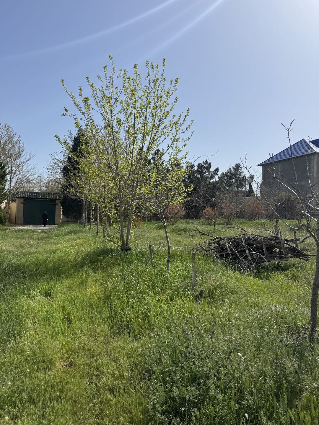 Satılır torpaq 19 sot — Torpaq, Bakı (4)