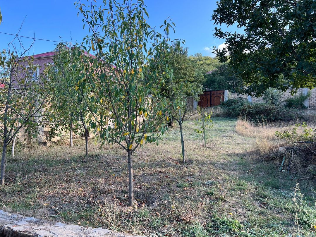 Satılır torpaq 17 sot — Torpaq, Xızı (6)