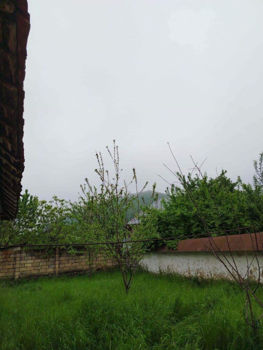 Tikinti — Torpaq, Qəbələ (4)
