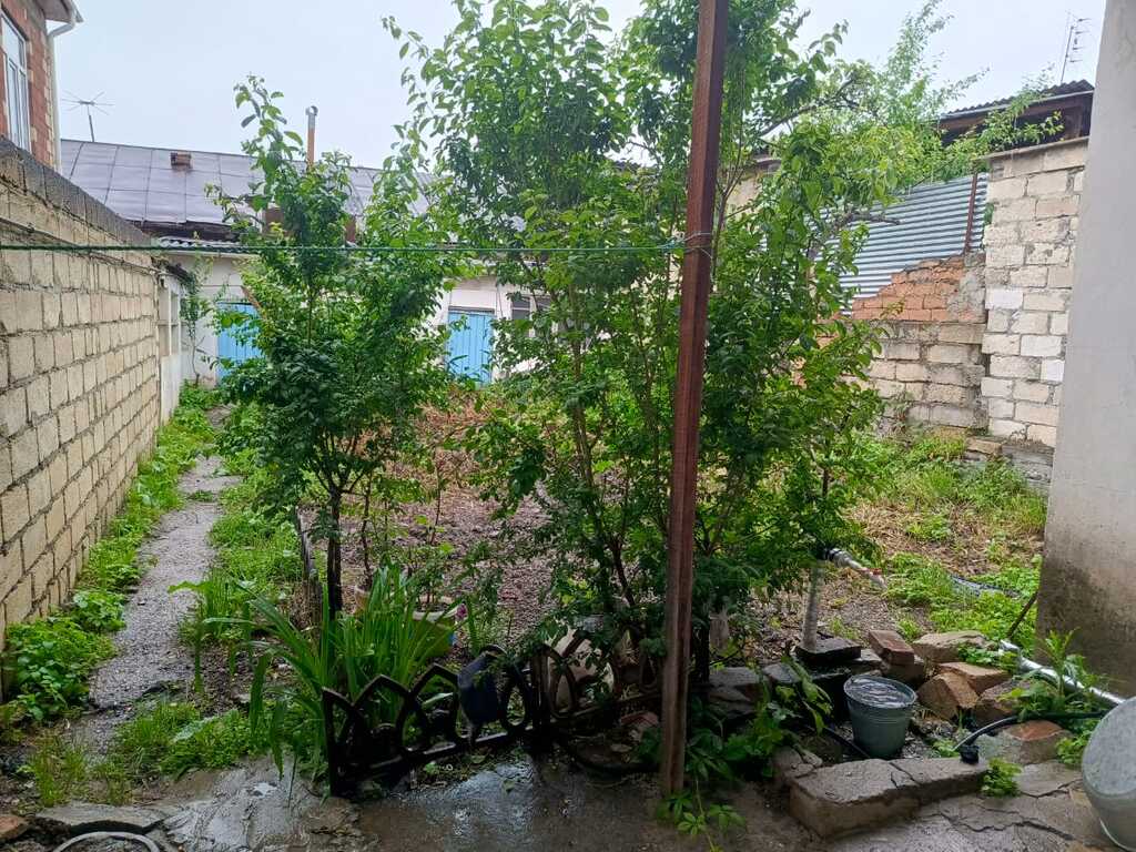 Satılır 3 otaqlı həyət evi/bağ evi 84.6 m² — Ev, villa, Quba (4)