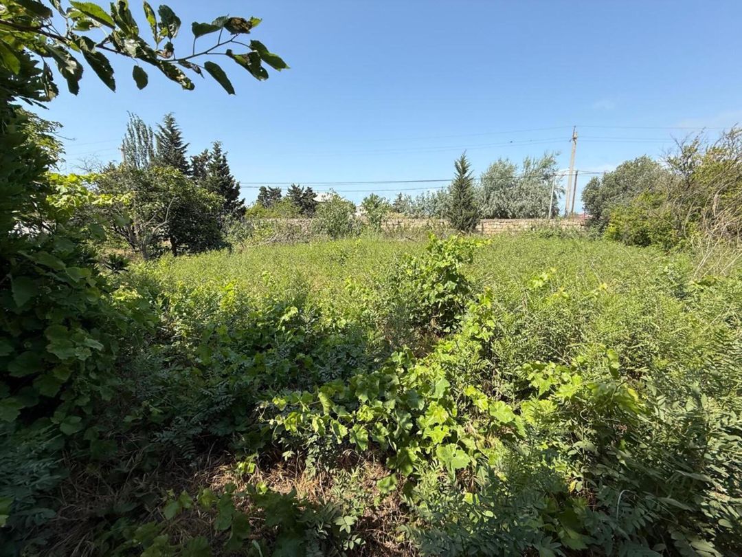Satılır 5 otaqlı həyət evi/bağ evi 180 m² — Ev, villa, Bakı (12)
