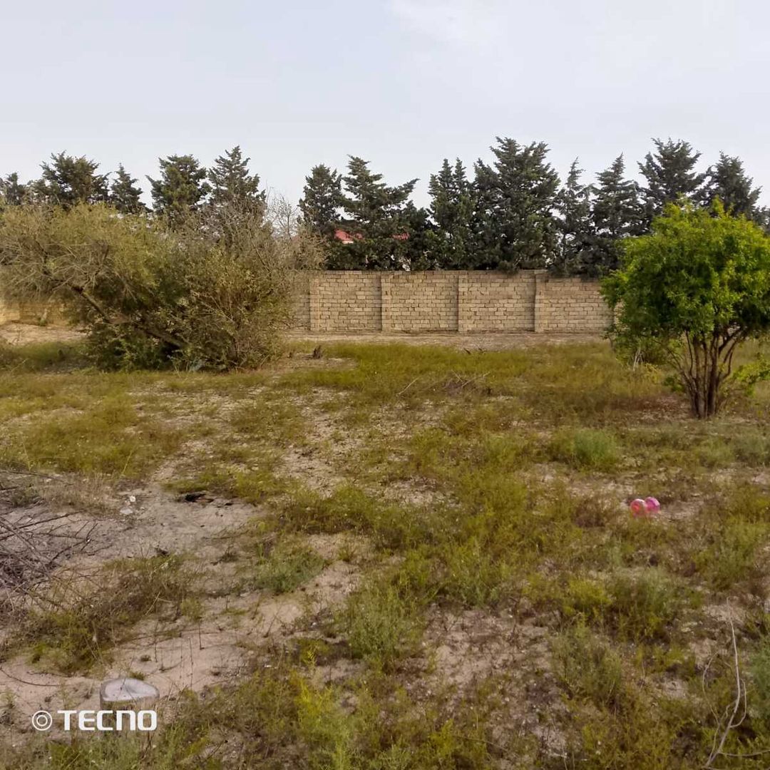 Satılır torpaq 24 sot — Torpaq, Bakı (2)