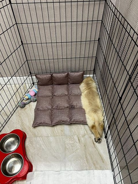 Heyvanlar üçün metal maneqe (playpen) - Material: dayanıqlı qara — Xırdalan