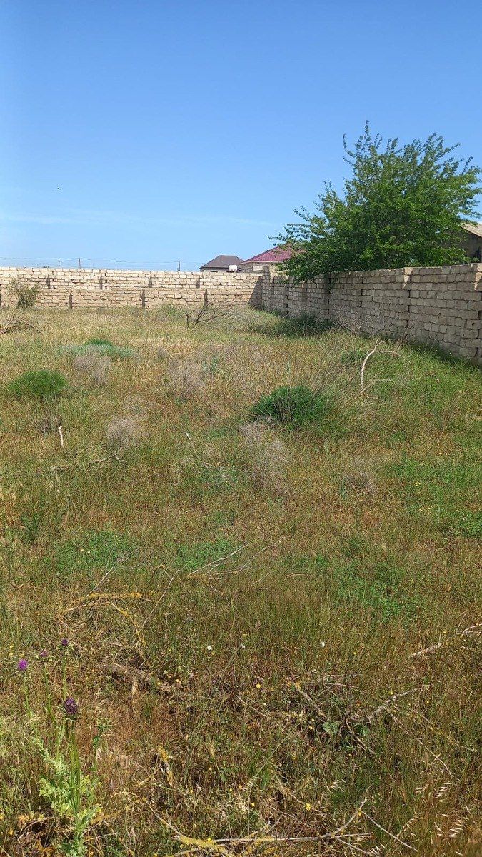 Satılır torpaq 12 sot — Torpaq, Bakı (2)