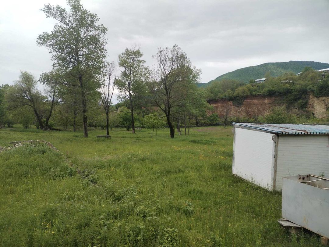 Satılır torpaq 100 sot — Torpaq, Şəki (2)