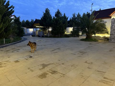 Satılır 7 otaqlı həyət evi/bağ evi 606 m² — Bakı