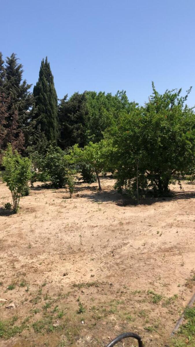 Satılır 5 otaqlı həyət evi/bağ evi 220 m² — Ev, villa, Bakı (7)