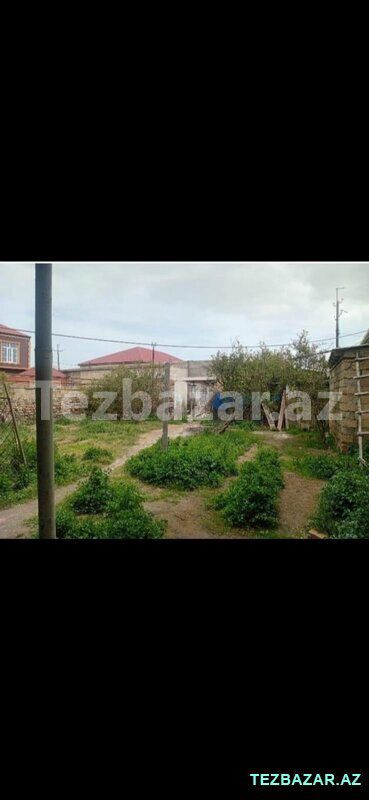 Torpağ 4 sot — Torpaq, Sumqayıt (3)