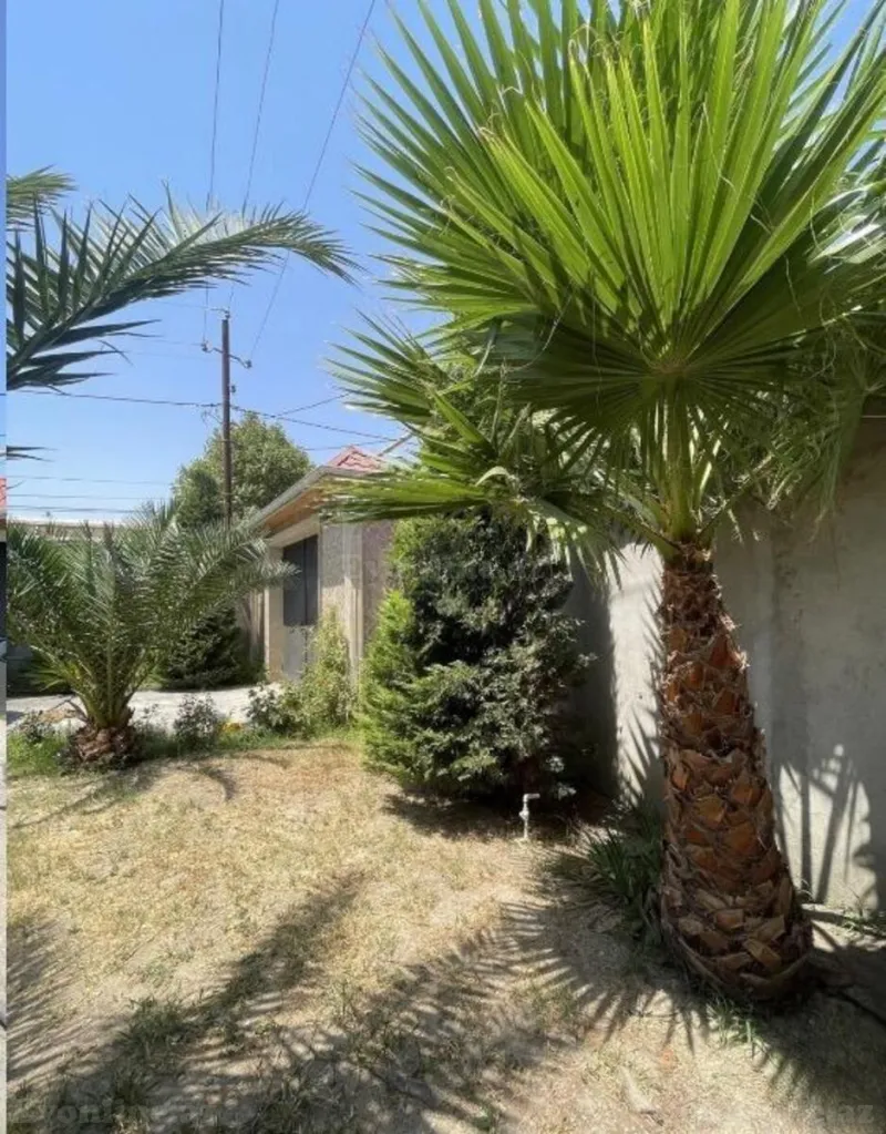 Satılır 4 otaqlı Həyət evi 200 m² Bakı, Abşeron r., Novxanı — Ev, villa, Bakı (6)