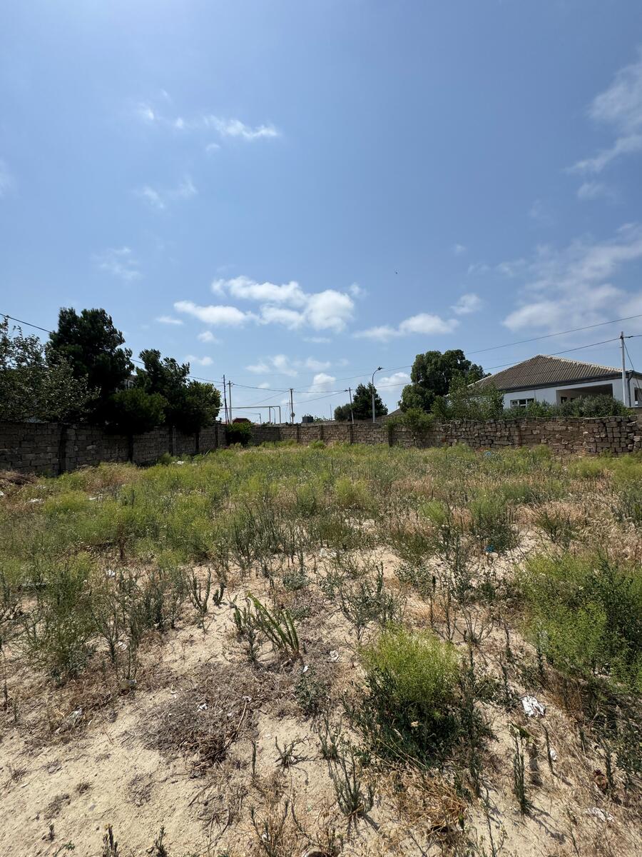 Satılır torpaq 8 sot — Torpaq, Bakı (3)