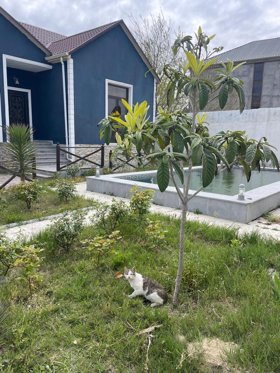 Satılır 4 otaqlı həyət evi/bağ evi 200 m² — Ev, villa, Bakı (3)