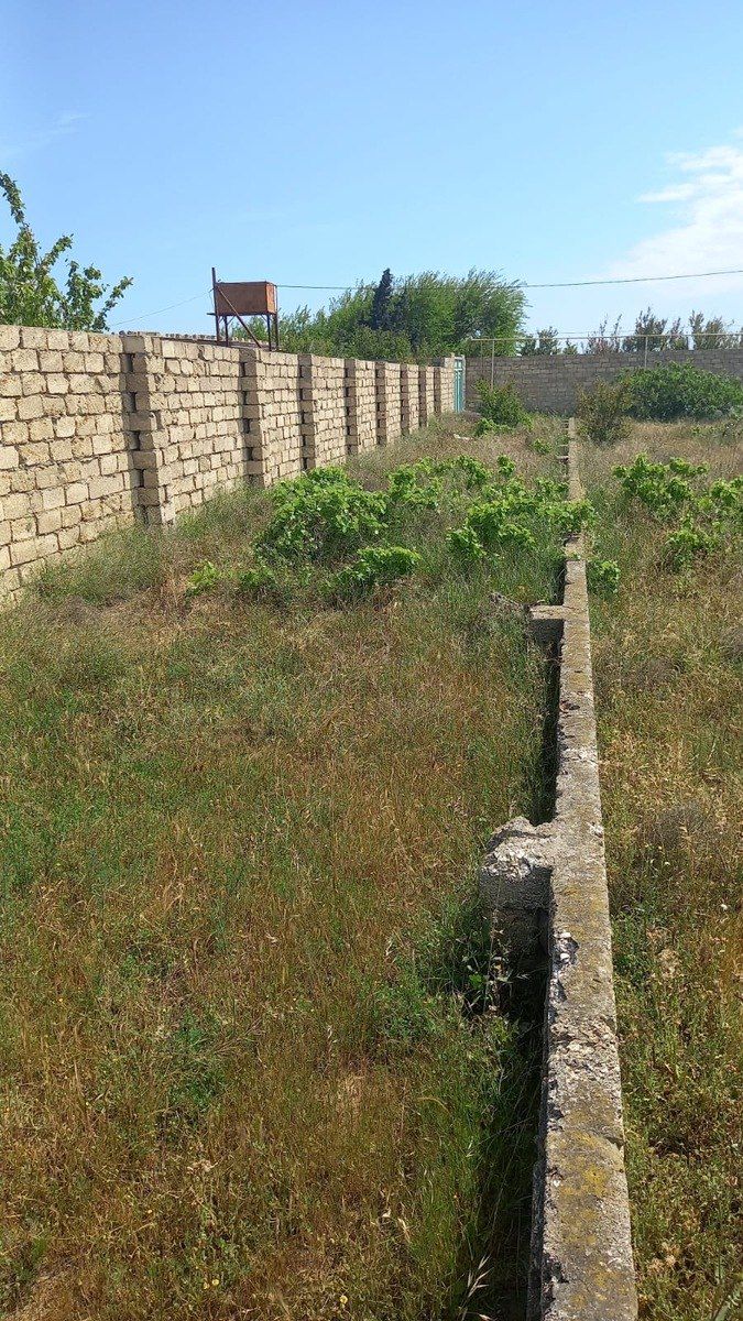 Satılır torpaq 12 sot — Torpaq, Bakı (4)