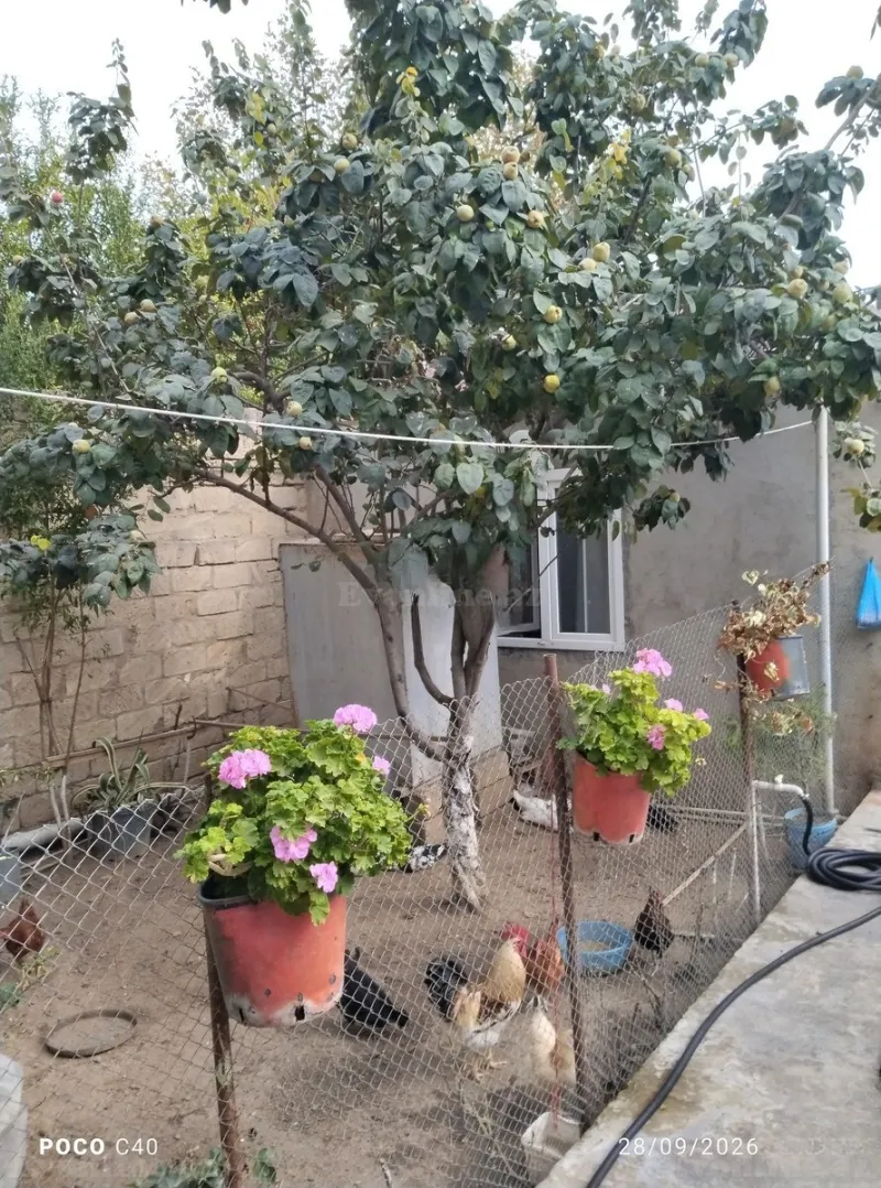 Satılır 6 otaqlı Həyət evi 200.5 m² Bakı, Sabunçu r., Ramana — Ev, villa, Bakı (6)