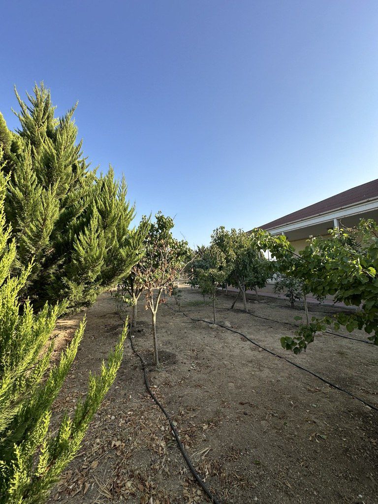 Satılır torpaq 12 sot — Torpaq, Bakı (3)